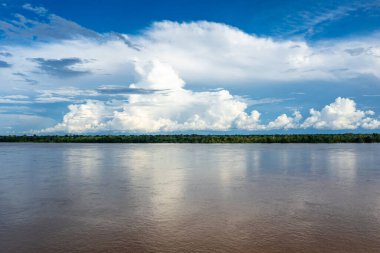 Amazon Nehri Hava Manzarası. Güney Amerika, Peru 'da tropik yeşil yağmur ormanları. Kuş bakışı görünüm.