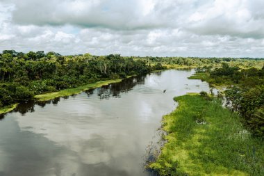 Peru. Rio Yanayacu 'nun hava manzarası. Iquitos, Peru yakınlarındaki Amazon yağmur ormanlarının en iyi manzarası. Güney Amerika. 