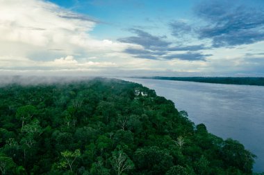 Amazon Nehri Hava Manzarası. Güney Amerika, Peru 'da tropik yeşil yağmur ormanları. Kuş bakışı görünüm.