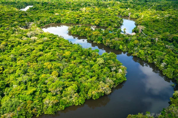 Widok Lotu Ptaka Amazonii Peru Ameryka Południowa Zielony Las Lotu — Zdjęcie stockowe