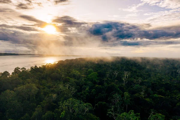 Amazone Rivier Luchtfoto Tropisch Groen Regenwoud Peru Zuid Amerika Zicht — Stockfoto