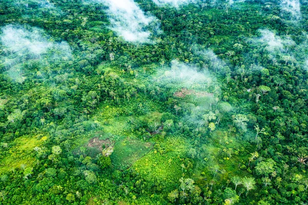 Amazon Rainforest Aerial View Tropische Groene Jungle Peru Zuid Amerika — Stockfoto