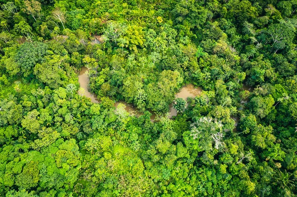 Amazon Rainforest Aerial View Tropische Groene Jungle Peru Zuid Amerika — Stockfoto