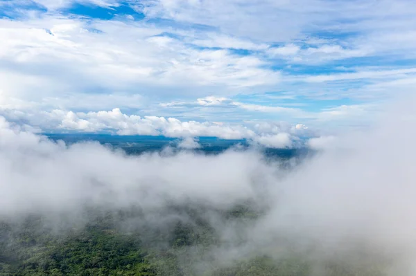 Вид Амазонки Тропічний Зелений Тропічний Ліс Перу Південна Америка Пташиний — стокове фото