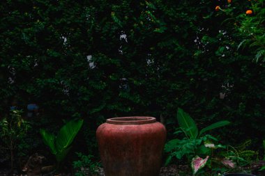 Doğanın aydınlık arka planında karamsar bir bahçe.