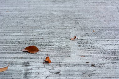 Doğal güneş ışığı arka planında somut yol deseni.