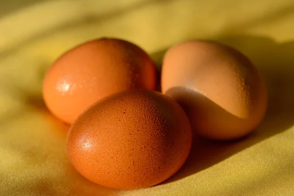 Uova Pollo Sfondo Luce Morbida Naturale — Foto Stock