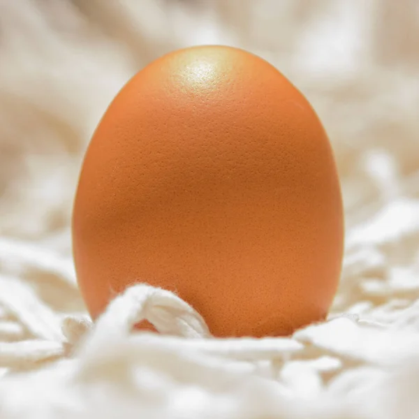 Uovo Pollo Sfondo Luce Morbida Naturale — Foto Stock