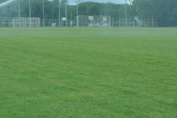 Футбольное Поле Пышная Зеленая Лужайка Утром — стоковое фото