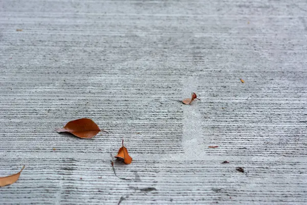 Doğal güneş ışığı arka planında somut yol deseni.