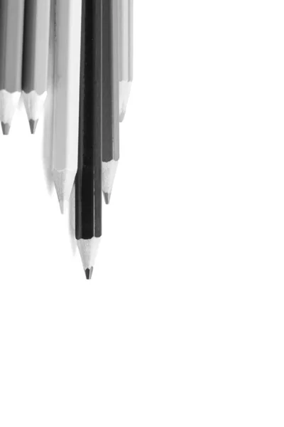 Pencils White Background Education Concept — ストック写真