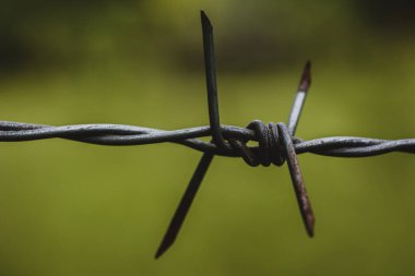 Old rusty barbed wire on nature green blurred background in moody day. Low key photography style. Selective focus.