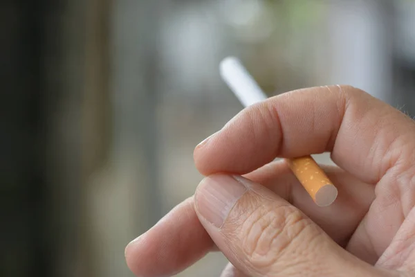 Human finger holding cigarette on natural light background.