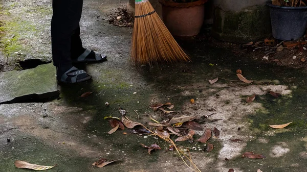 Housekeeper Sweeping Leaves Coconut Broom Morning — Fotografia de Stock