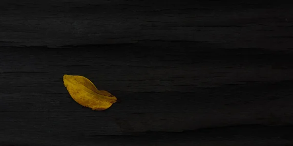 Yellow Fall Leaf Wooden Dark Background — 스톡 사진