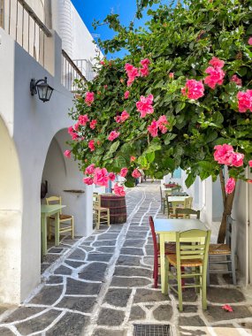 Traditional greek tavern cafe restaurant under beautiful flower tree, cycladic islands, table and chairs in Greece
