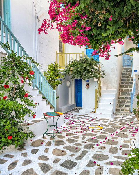 Beautiful Greek garden in the yard, white houses porch and stairs decorated with flowers and colorful doors, cycladic islands, paros greece