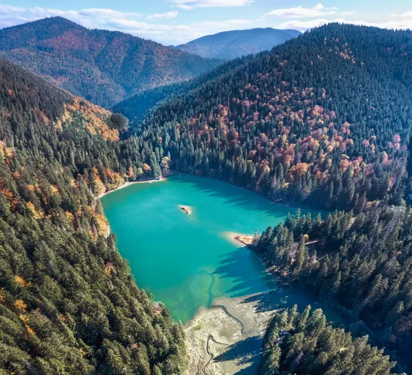 Beautiful Picturesque Mountain Lake Synevyr Highlands High Mountains Pine Forest — стоковое фото