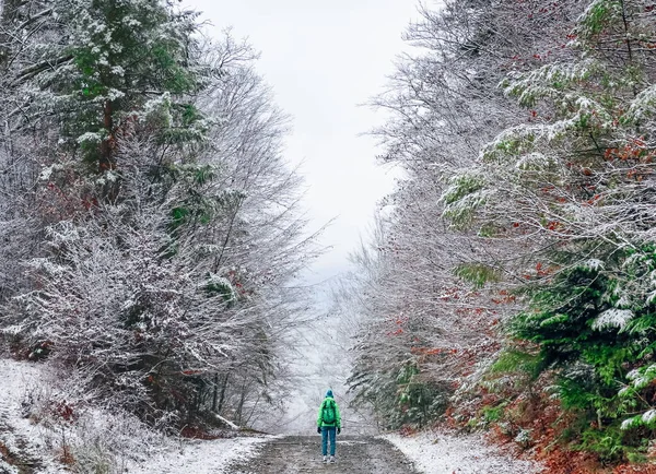 Turistický Batohem Cestovatel Zeleným Batohem Jde Sám Trekking Silnici Zimě — Stock fotografie