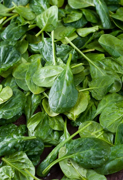 ıspanak yaprakları