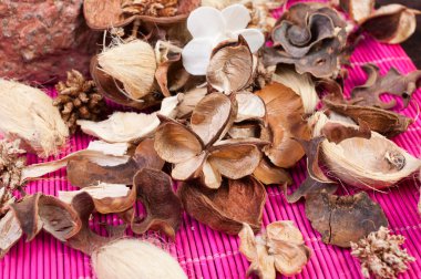 aromatik pot pourri