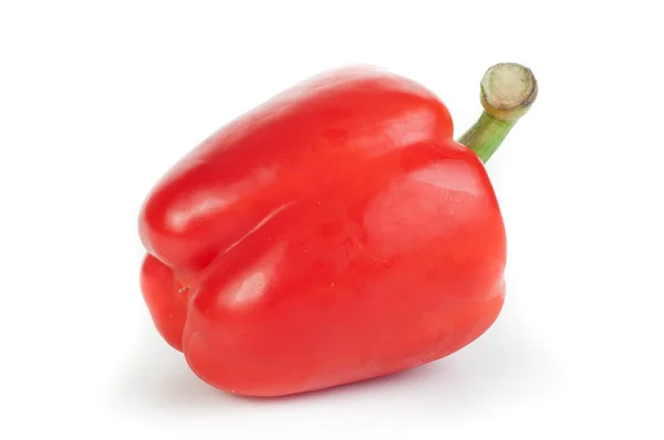 Pepper — Stock Photo, Image