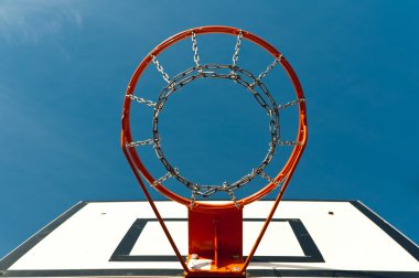 Basketbol yönetim kurulu