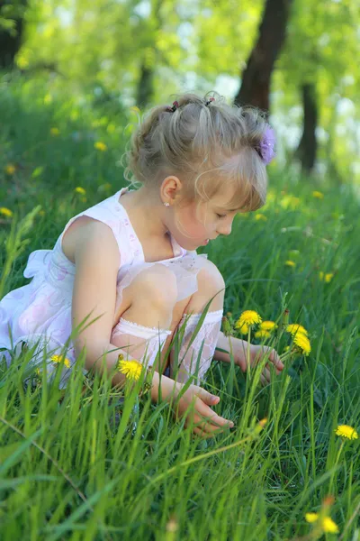 잔디에 어린 소녀. — 스톡 사진