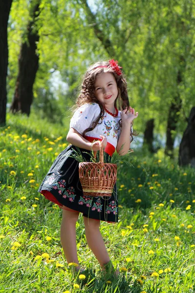 Dziewczyna w ukraińskim stroju Narodowego. — Zdjęcie stockowe