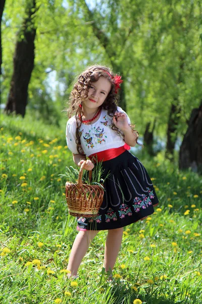 Flickan i den ukrainska folkdräkt. — Stockfoto