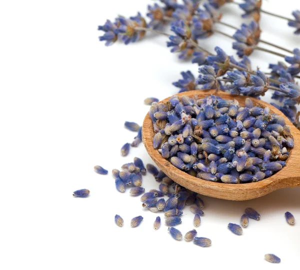 Lavendel bloemblaadjes in een houten lepel — Stockfoto