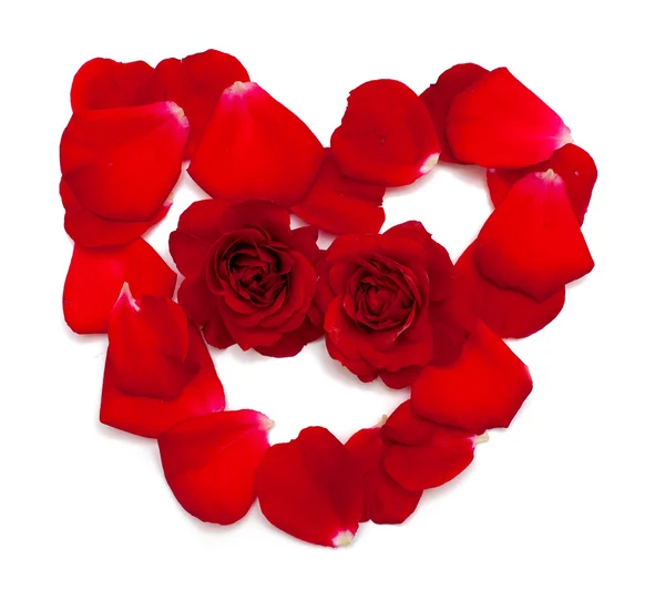 Hart gemaakt van rood roze bloemblaadjes — Stockfoto