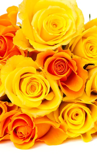 Rosas amarillas y naranjas — Foto de Stock