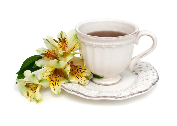 Tasse Tee und Blume — Stockfoto