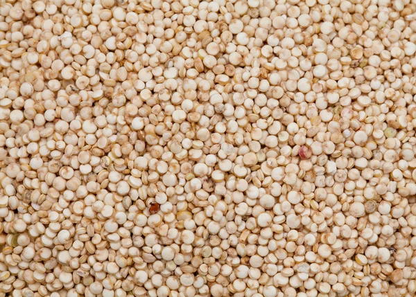 Pişmemiş quinoa — Stok fotoğraf