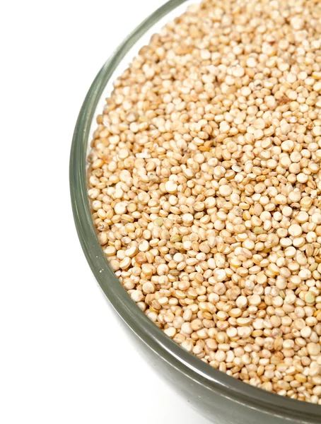 Quinoa v misce — Stock fotografie