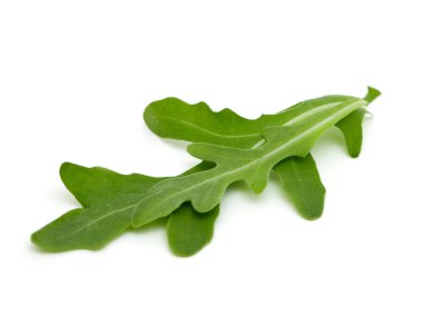 taze rucola