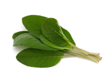 Demet taze adaçayı