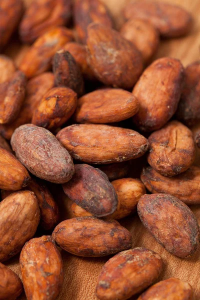 Какао-бобы — стоковое фото