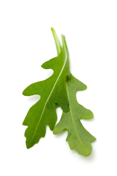 Fresh rucola — Stock Photo, Image