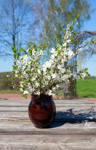 Florece la primavera en un jarrón de barro —  Fotos de Stock