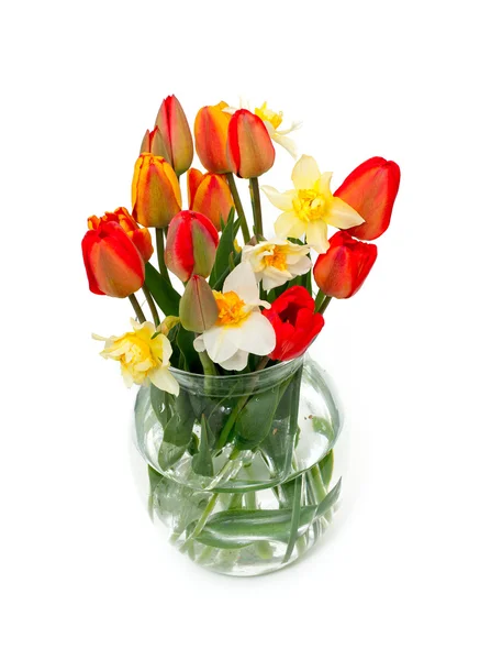 Tulipány a květiny Narcis v skleněná váza — Stock fotografie