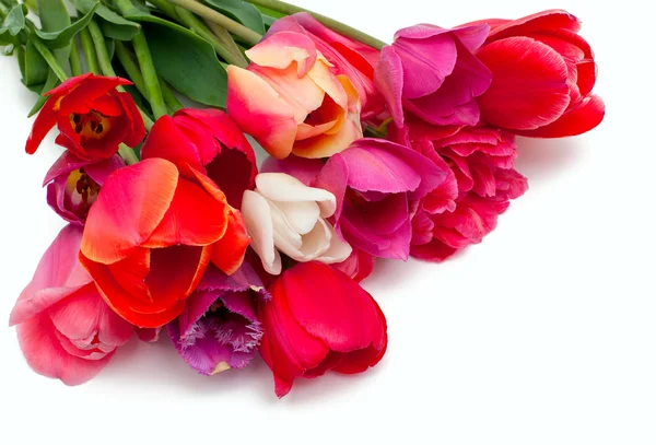 Grono czerwony i różowy tulipany nad białym — Zdjęcie stockowe