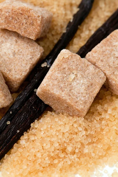Vanilya fasulye ve beyaz backgrou izole kahverengi vanilya şekeri — Stok fotoğraf