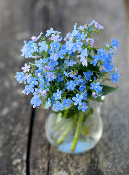 Forget-me-not flowers on wooden surface — Stock Photo, Image