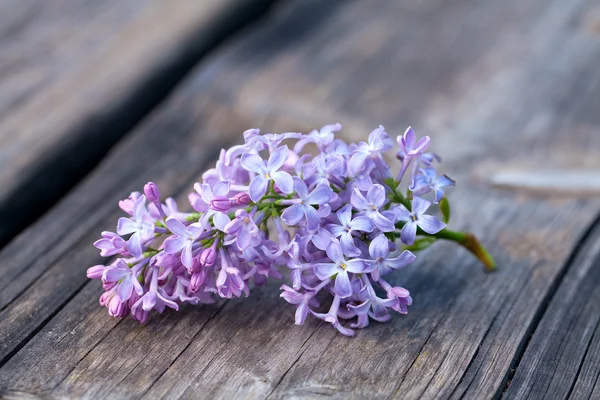 Lilas sobre mesa de jardín de madera —  Fotos de Stock