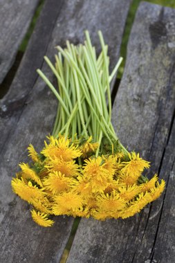 Ahşap bahçe masasında karahindibalar