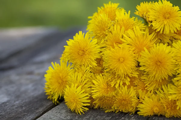 Dandelions on wooden garden table — Stock Photo, Image