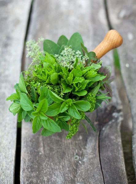 Fresh herbs in a wooden mortar — Stock Photo, Image