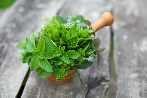 Fresh herbs in a wooden mortar — Stock Photo, Image